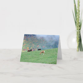 Paarden op de bergkaarten kaart
