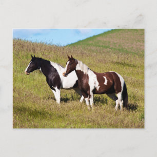 Paarden op de heuvelhelling briefkaart