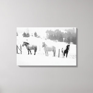 Paarden op de Ranch Canvas Afdruk