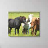 Paarden op de Ranch, Zuid-IJsland Canvas Afdruk (Voorkant)