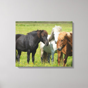 Paarden op de Ranch, Zuid-IJsland Canvas Afdruk