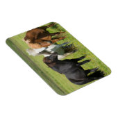 Paarden op de Ranch, Zuid-IJsland Magneet (Rechterzijde)