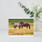 Paarden op de weide briefkaart (Staand voorkant)