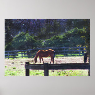 Paarden op het Poster van het Boerderij