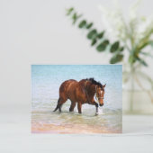 Paarden op het strand Briefkaart (Staand voorkant)