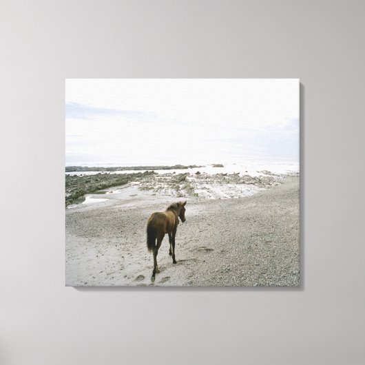Paarden op het strand canvas afdruk (Voorkant)