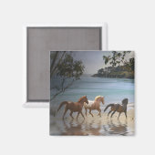 Paarden op het strand Magnet Magneet (Voorkant / Achterkant)