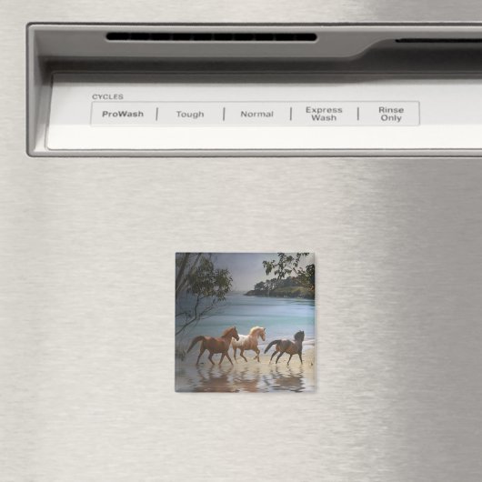 Paarden op het strand Magnet Magneet (Insitu (Vaatwasser))