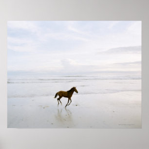 Paarden op het strand poster