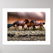 Paarden op het strand poster (Voorkant)