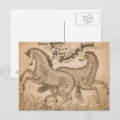 Paarden op Penmanship Briefkaart (Voorkant / Achterkant)