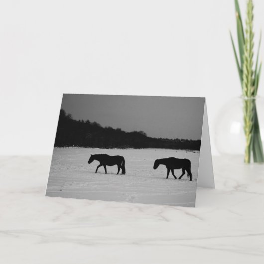 Paarden op sneeuw gccna kaart (Voorkant)