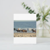 Paarden op strand briefkaart (Staand voorkant)