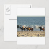 Paarden op strand briefkaart (Voorkant / Achterkant)