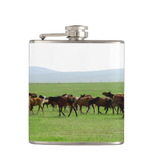 Paarden op weide - Landschapsfoto Heupfles