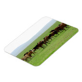 Paarden op weide - Landschapsfoto Magneet (Linkerzijde)