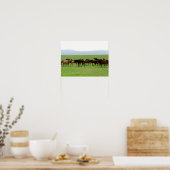 Paarden op weide - Landschapsfoto Poster (Keuken)