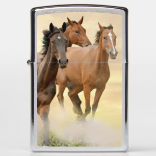 Paarden op zonsondergang