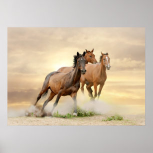 Paarden op zonsondergang poster
