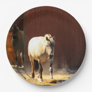 Paarden Papieren Borden Papieren Bordje