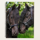 Paarden Planner (Voorkant)