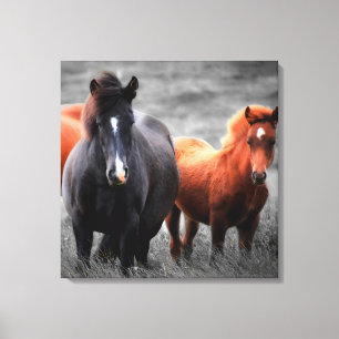 Paarden Portret: selectieve kleurenfotografie Canvas Afdruk