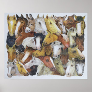 Paarden Poster