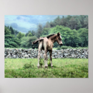 PAARDEN POSTER
