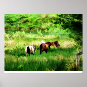 PAARDEN POSTER