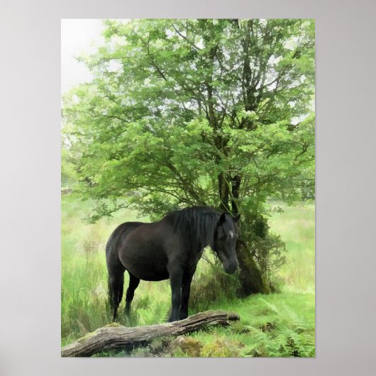 PAARDEN POSTER (Voorkant)