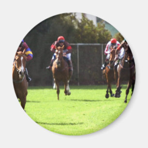 Paarden Racing Field Magnet Magneet