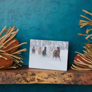 Paarden rennen door de sneeuw fotoplaat