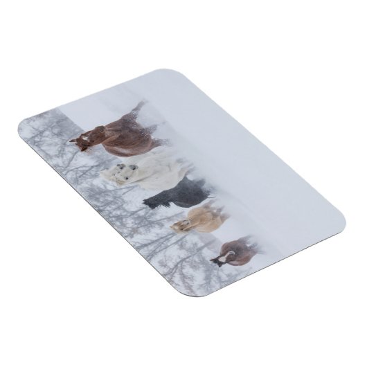 Paarden rennen door de sneeuw magneet (Rechterzijde)