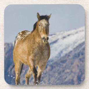 Paarden rennen in de sneeuw bier onderzetter