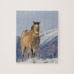 Paarden rennen in de sneeuw legpuzzel