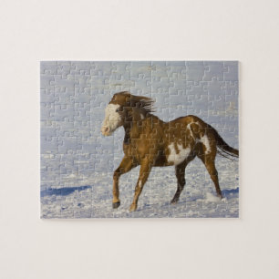 Paarden rennen in de sneeuw legpuzzel