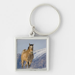 Paarden rennen in de sneeuw sleutelhanger