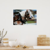 Paarden rennen paard getrokken koets poster foto (Keuken)