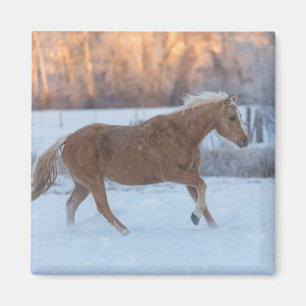 Paarden rijden in de winter op Hideout Ranch Magneet