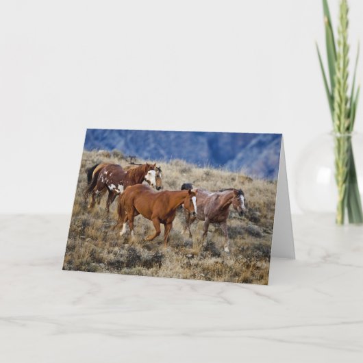 Paarden Roaming the Hills Kaart (Voorkant)