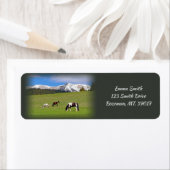 Paarden Rustadres Etiket (Insitu)