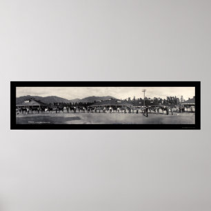 Paarden Santa Anita Foto 1908 Poster