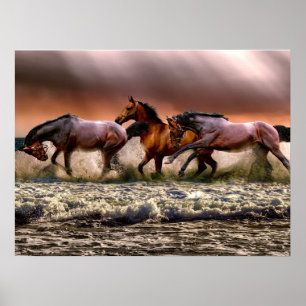 Paarden Stallion op Beach Foto Natuur Wall Poster