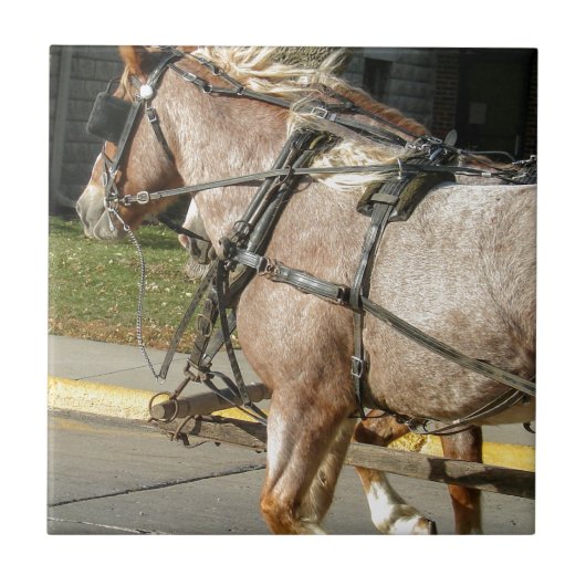  paarden tegeltje (Voorkant)