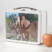 Paarden teruggeleid naar de schuur (In situ)