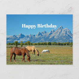 Paarden Teton Mountains Landscape Foto Briefkaart