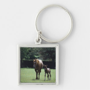 Paarden - Thoroughbred, Mare and Foal Sleutelhanger
