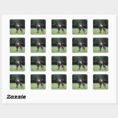 Paarden - Thoroughbred, Mare and Foal Vierkante Sticker (Vel)