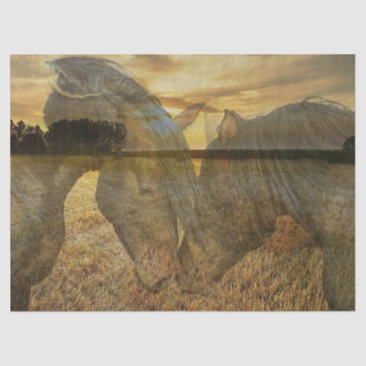 Paarden Tissuepapier (Voorkant)