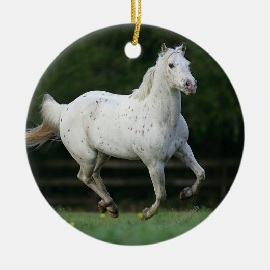 Paarden van Appaloosa die 1 lopen Keramisch Ornament (Voorkant)